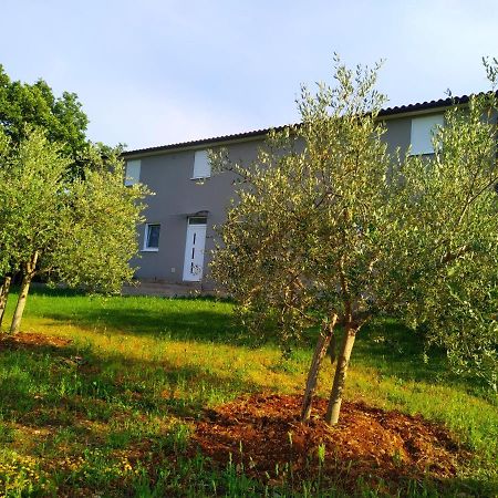 Apartments Valeria Divšići Exterior foto